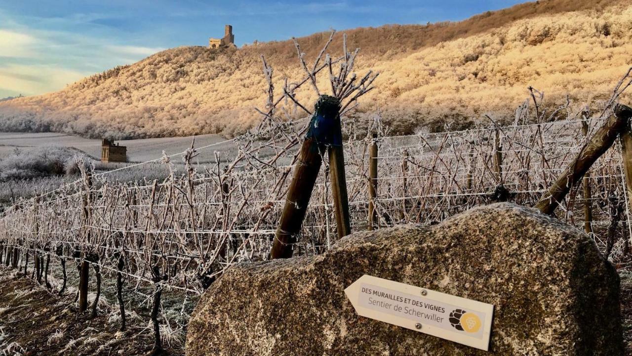 Gite Du Rittersberg Scherwiller Buitenkant foto