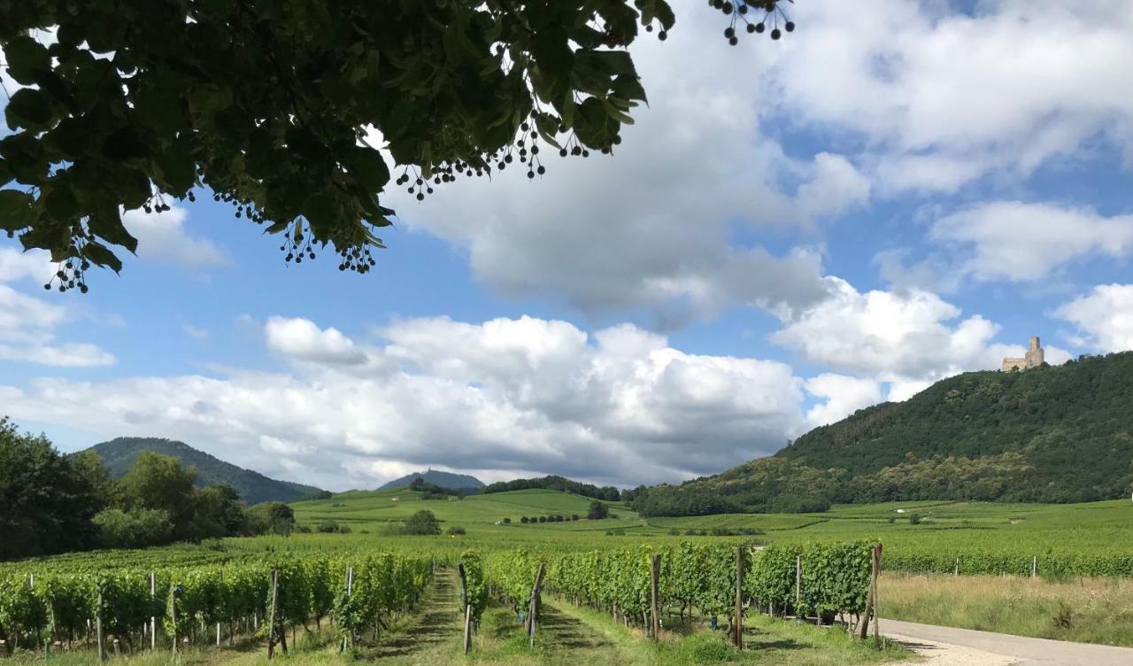 Gite Du Rittersberg Scherwiller Buitenkant foto