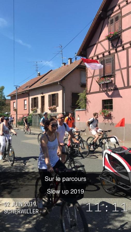 Gite Du Rittersberg Scherwiller Buitenkant foto